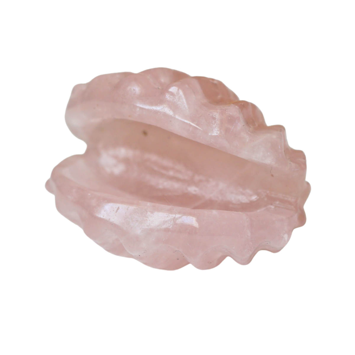 Rose Quartz Scallop Shell