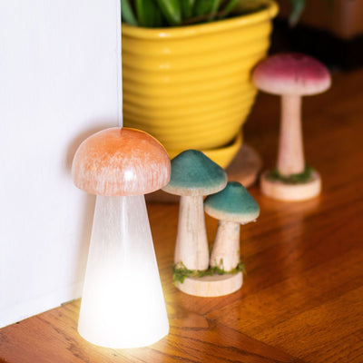 Selenite Mushroom Lamp