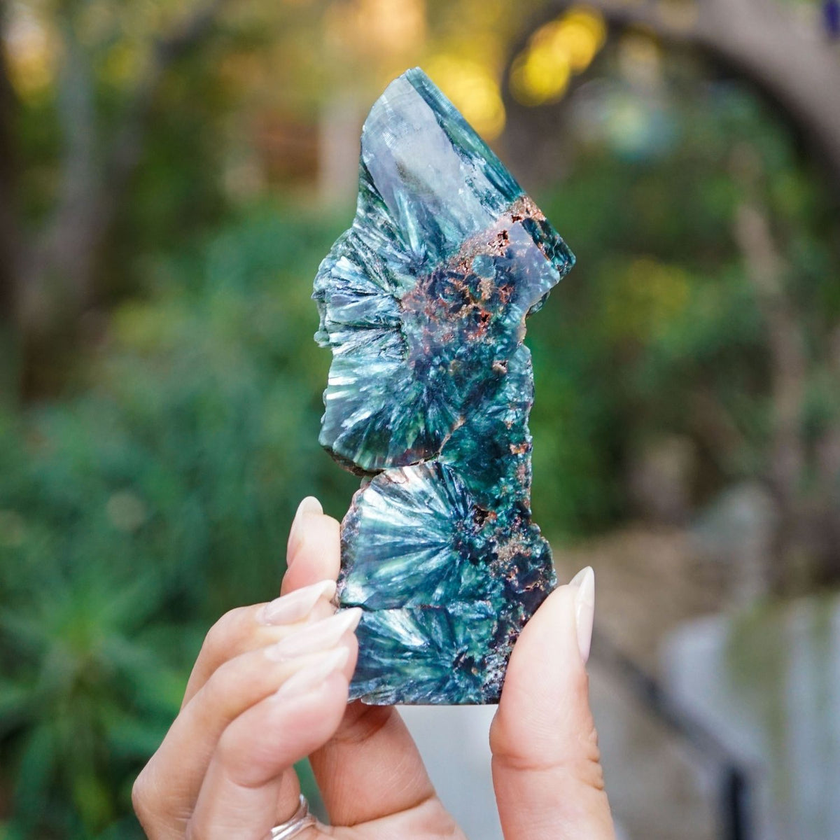 Seraphinite Plate