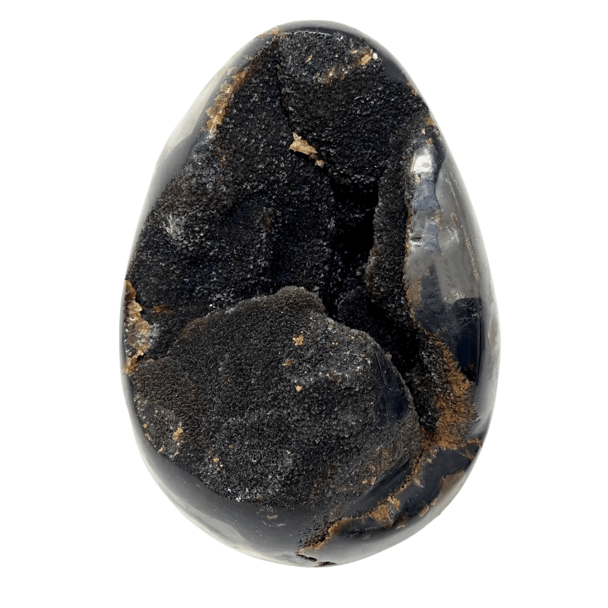 Septarian Dragon Geode