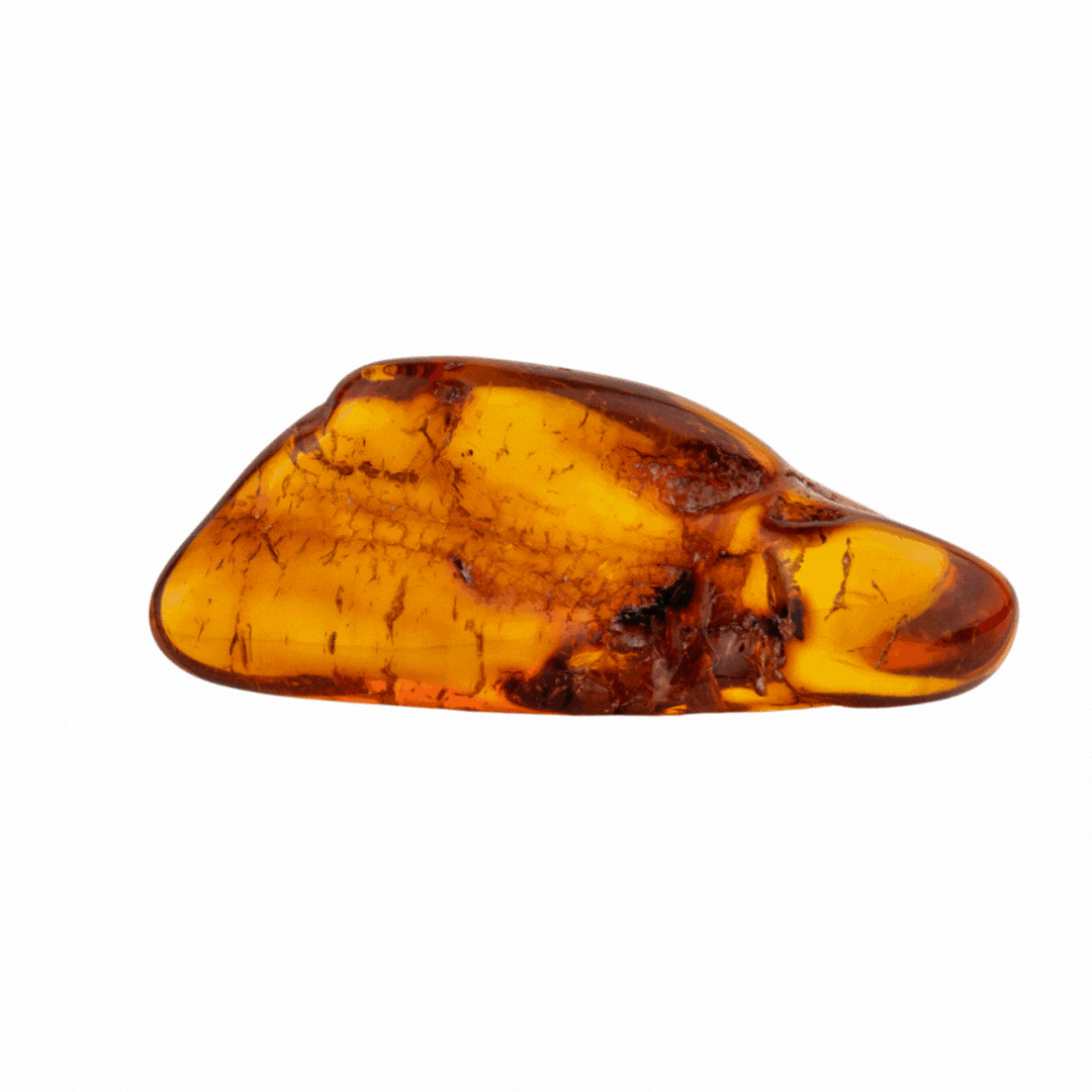 その他 amber amber_copal_1500x1500px_1080x.