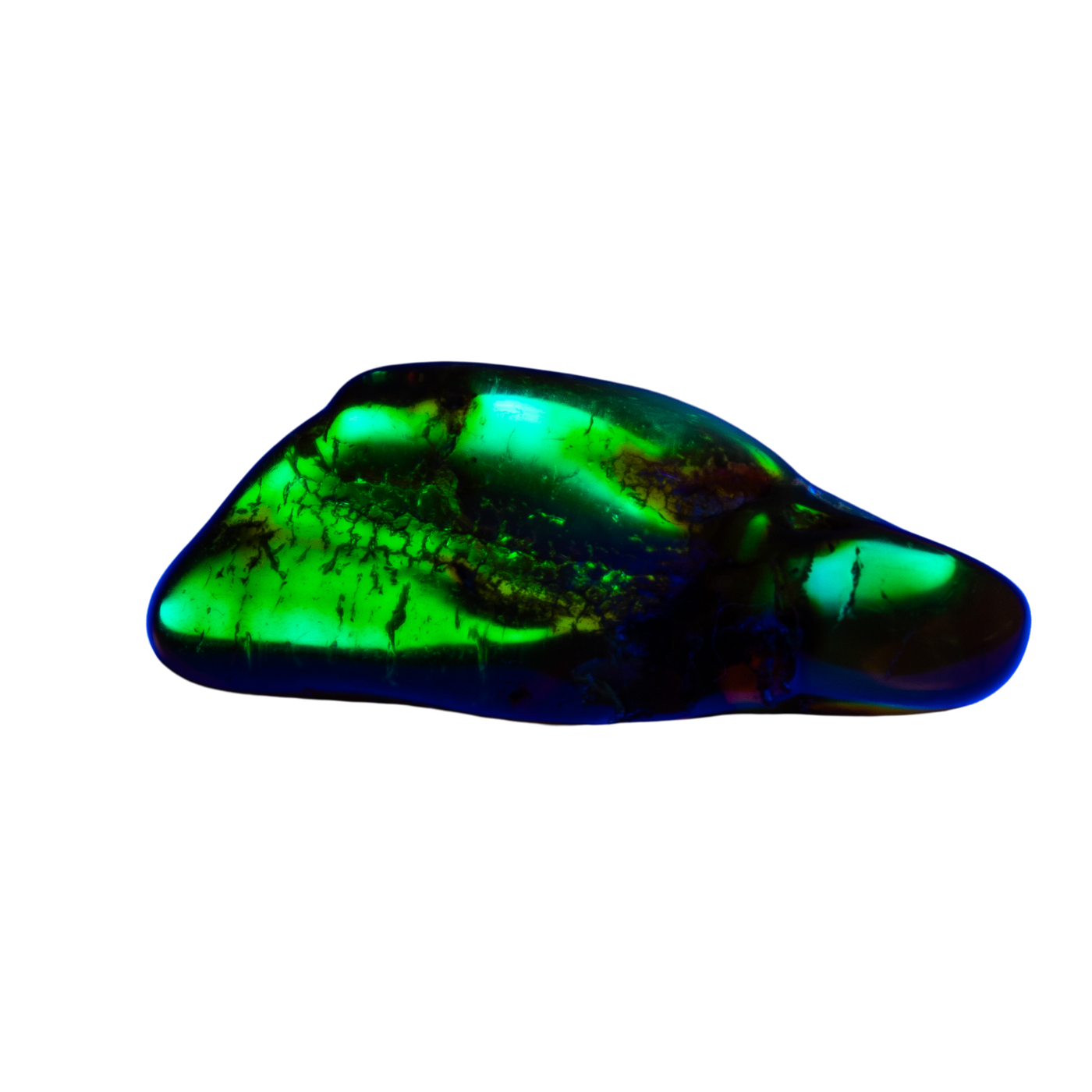 UV Reactive Copal Amber Stone