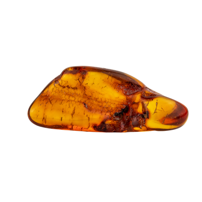 UV Reactive Copal Amber Stone