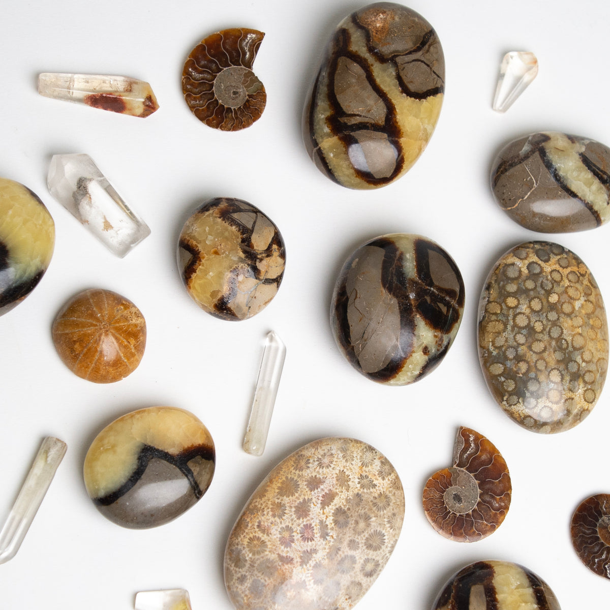 Septarian Touchstone