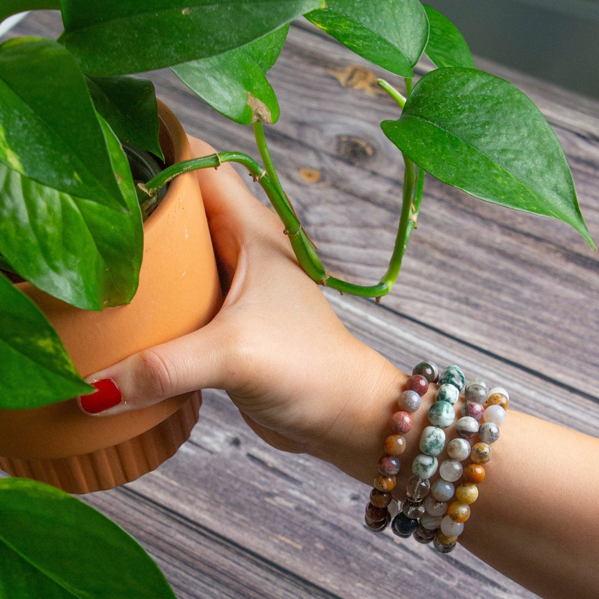 Kabamby Ocean Jasper Bracelet
