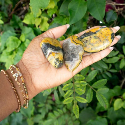 Bumble Bee Jasper Touchstone