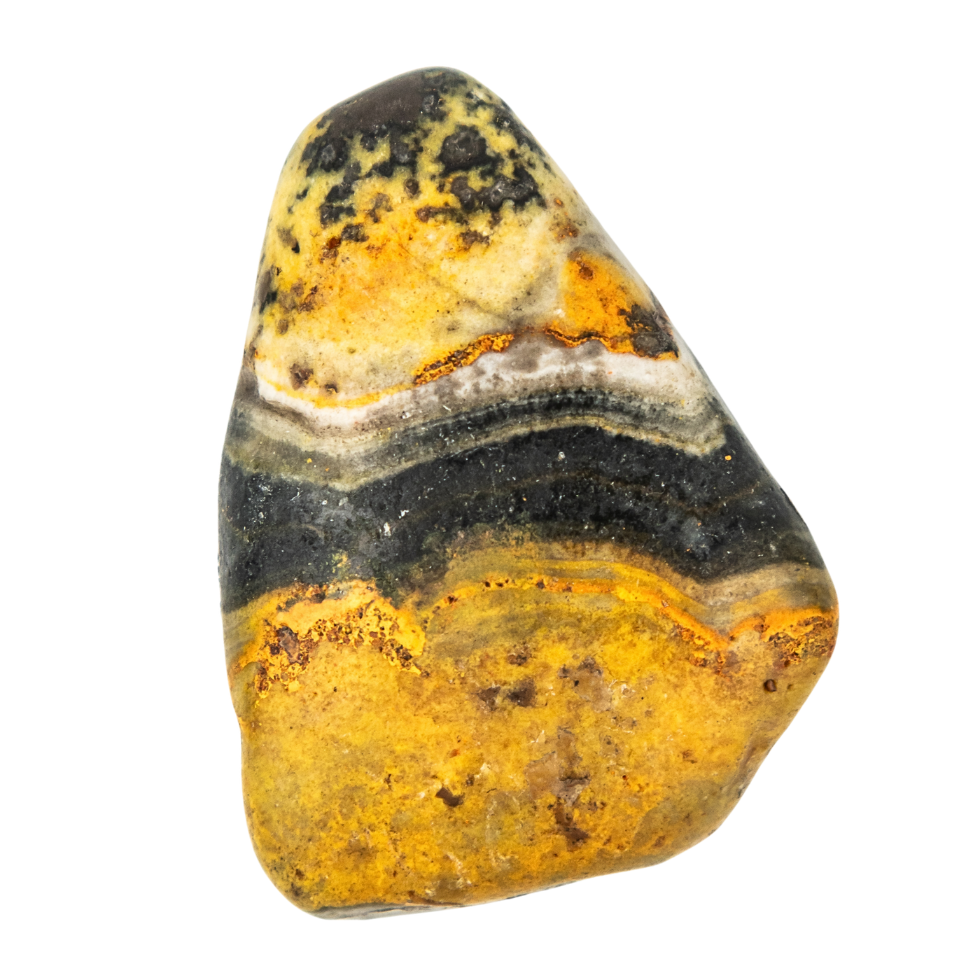 Bumble Bee Jasper Touchstone