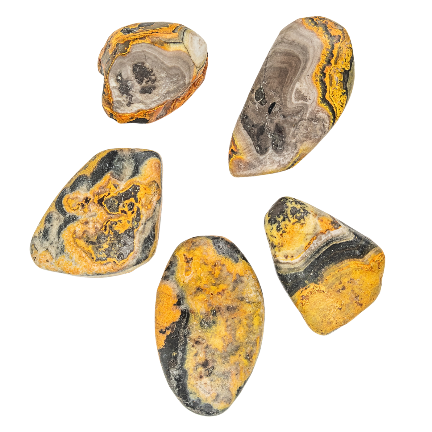 Bumble Bee Jasper Touchstone