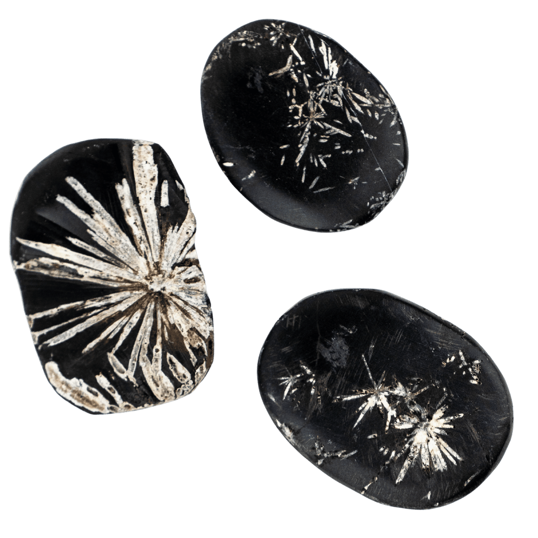 Chrysanthemum Stone | Shop Chrysanthemum Palm Stones from Energy Muse
