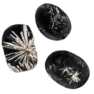 Chrysanthemum Stone Touchstone