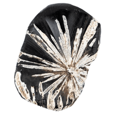 Chrysanthemum Stone Touchstone