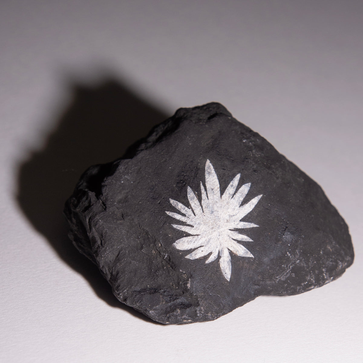 Chrysanthemum Stone