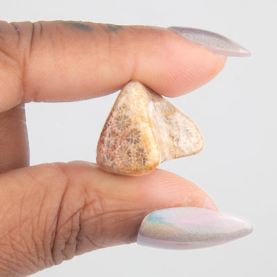 woman holding coral fossil tumbled stone - Energy Muse