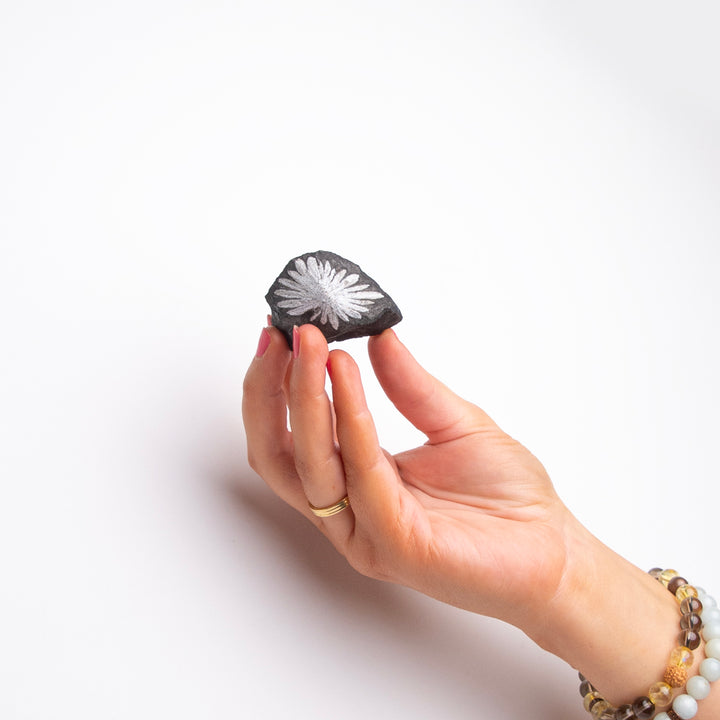 Chrysanthemum Stone | Shop Black and White Crystals at Energy Muse