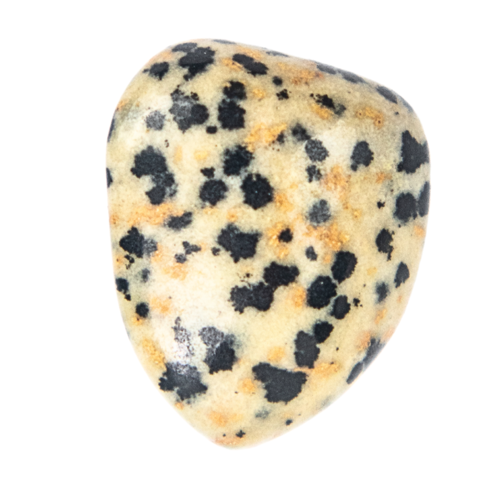 dalmatian jasper small polished tumbled stone by Energy Muse