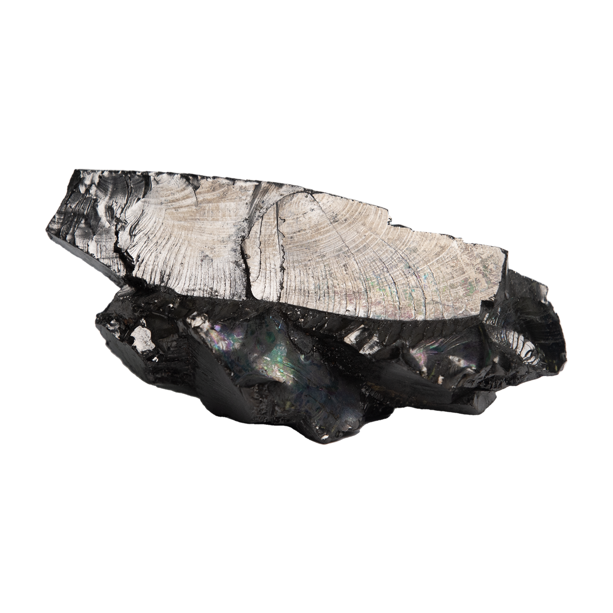 Elite Shungite Stone