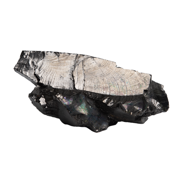 Elite Shungite Stone