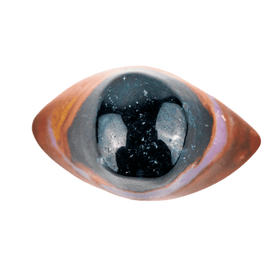 Shiva Eye Agate