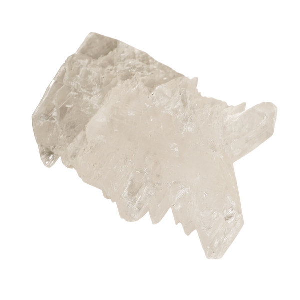 Angel Wing Selenite