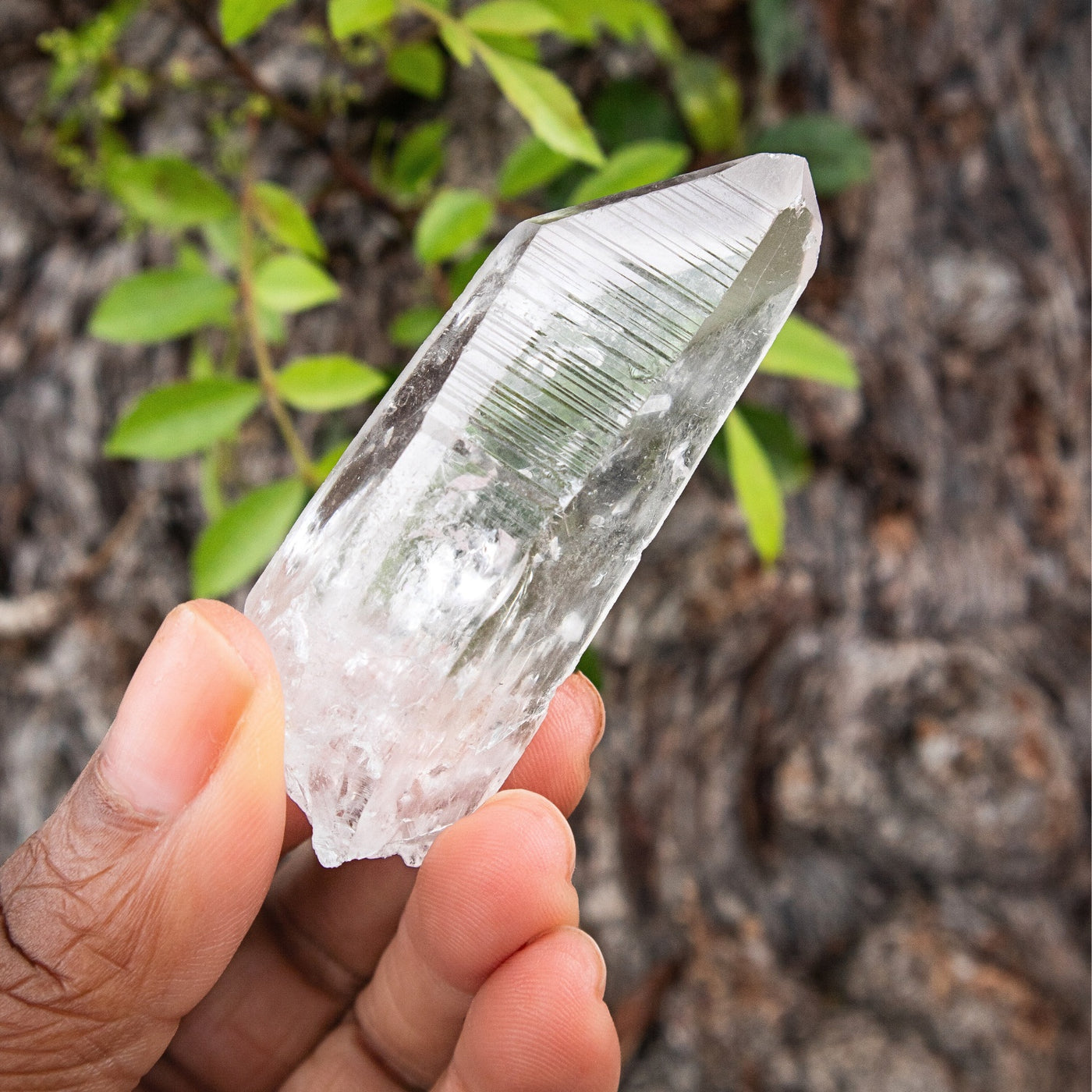 Lemurian Crystal