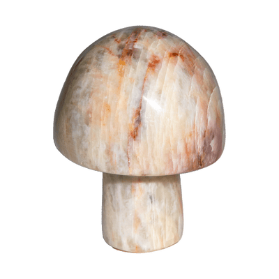 Moonstone Mushroom