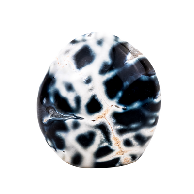 Orca Agate Freeform Crystal
