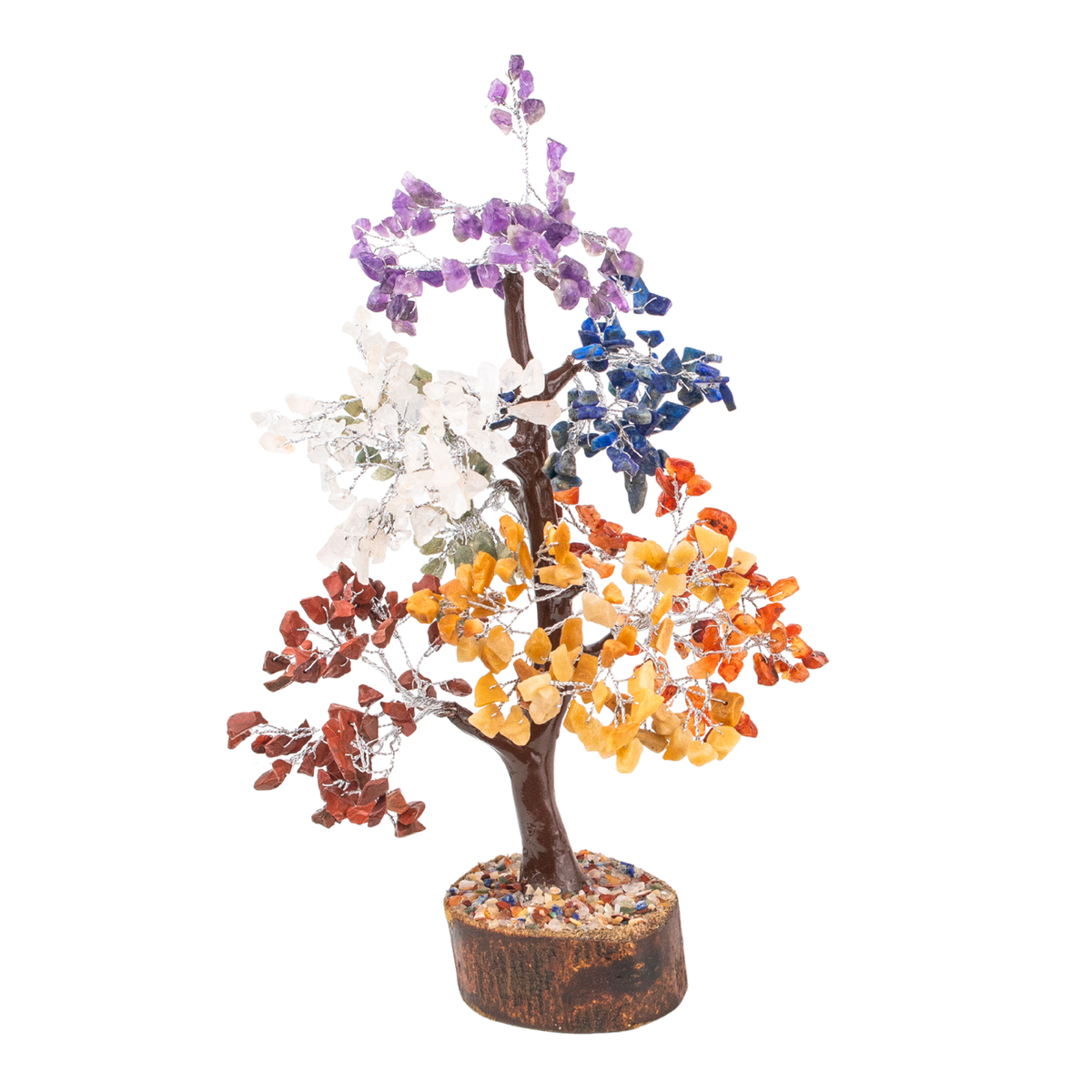 Rainbow Money Tree