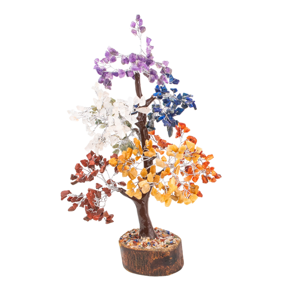 Rainbow Money Tree