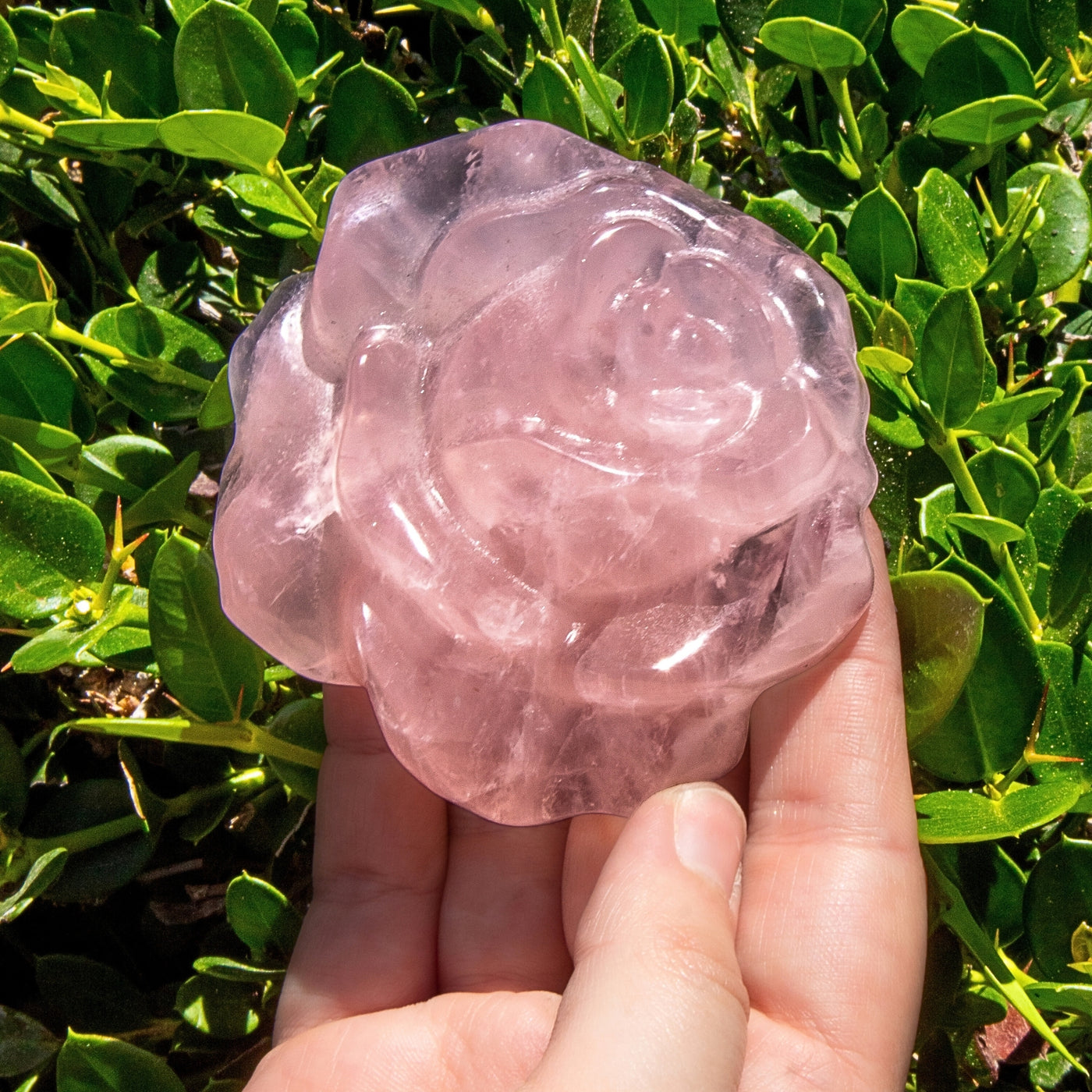 Rose Quartz Rose Carving