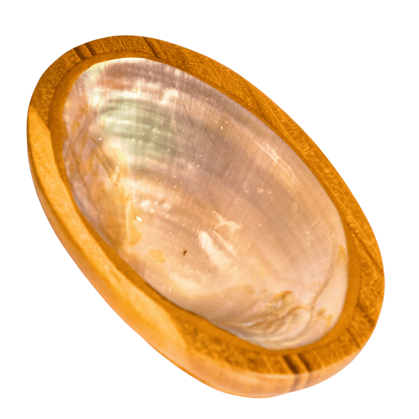 Abalone Shell Wood Bowl