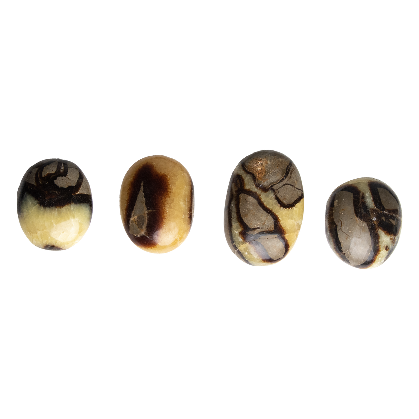 4 different large Septarian touchstones by Energy Muse illustrating the variety of sizes, colors, shapes and patterns.