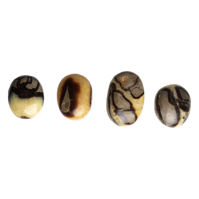 4 different large Septarian touchstones by Energy Muse illustrating the variety of sizes, colors, shapes and patterns.