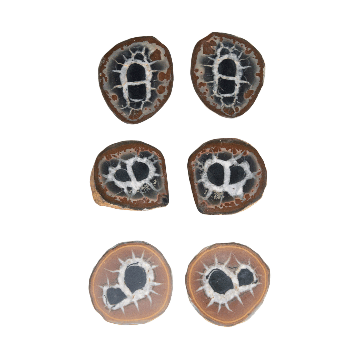 Septarian Nodule Pair