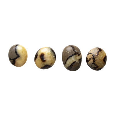 4 different small Septarian touchstones by Energy Muse illustrating the variety of sizes, colors, shapes and patterns.