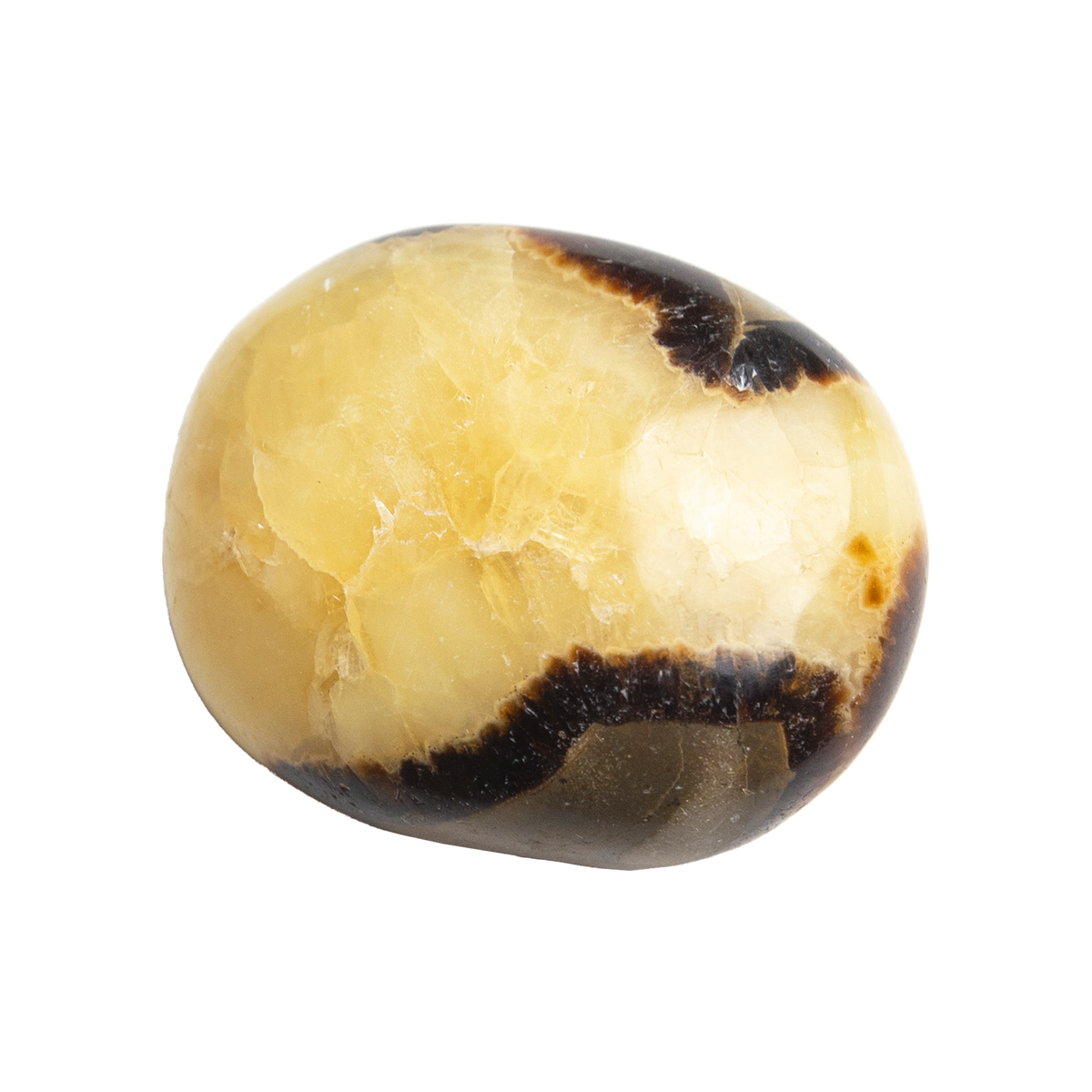 close up view of genuine Septarian crystal touchstone by Energy Muse