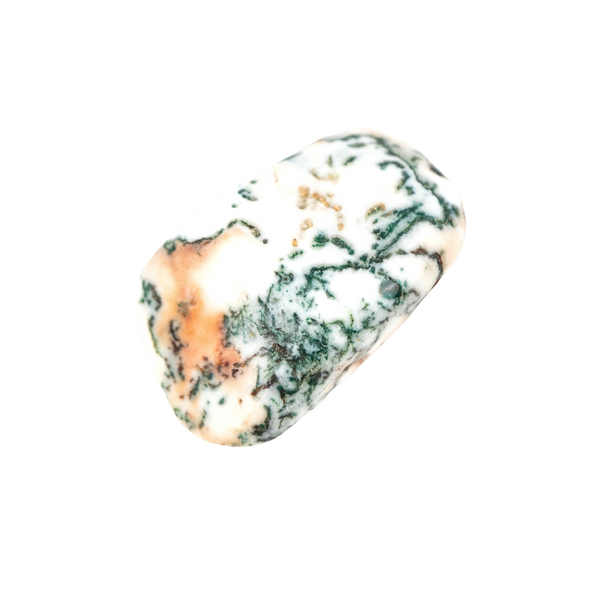 Tree Agate Stone
