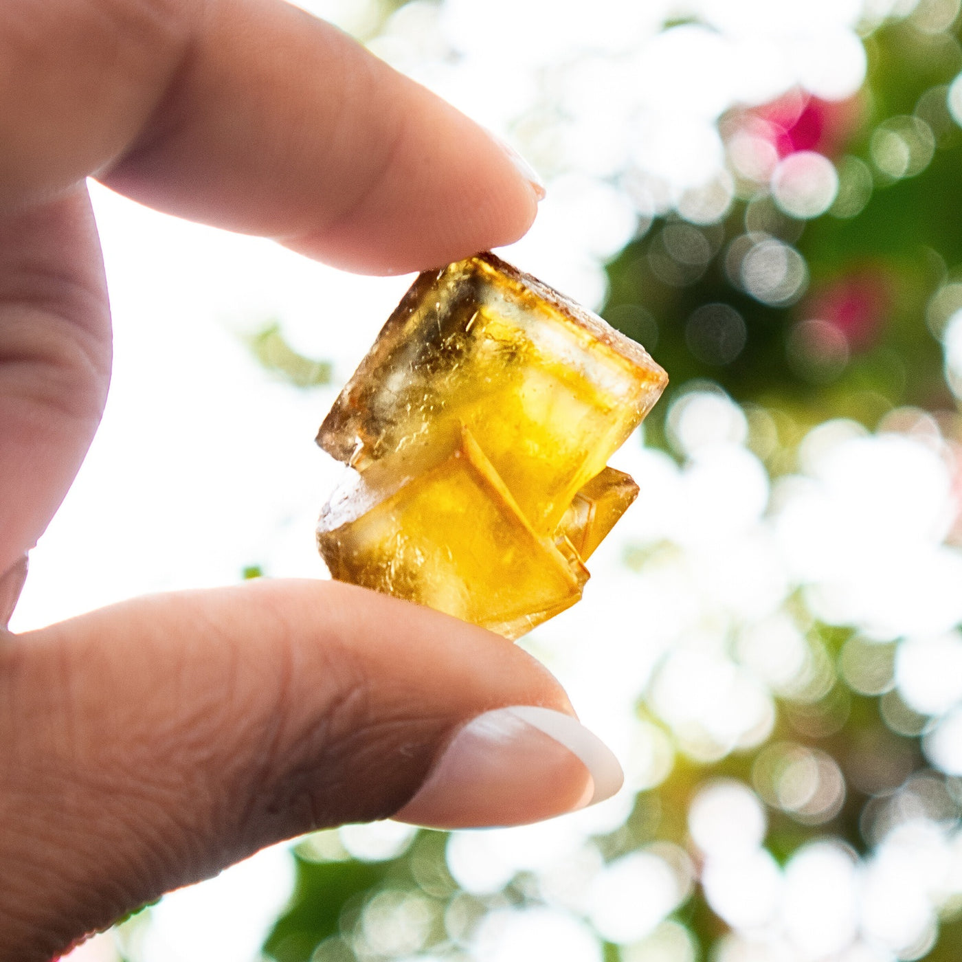 Cubic Yellow Fluorite