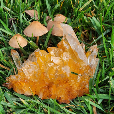Outdoor view of ethically hand-mined one-of-a-kind Golden Healer Cluster specimen A on grass by Energy Muse