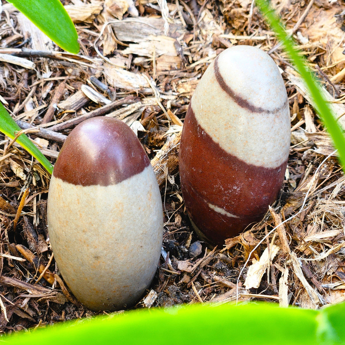 Shiva Lingam