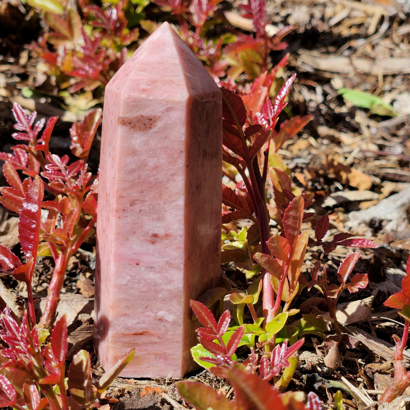 outdoors view Rhodonite Point - Energy Muse
