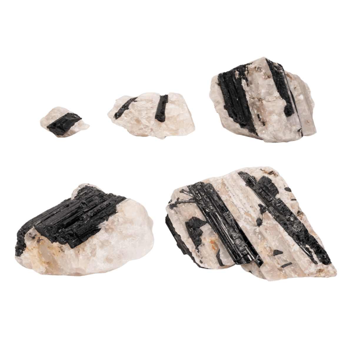 Black Tourmaline in Crystal Quartz Matrix