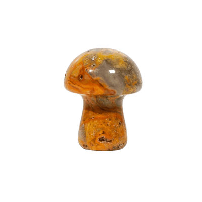 Crazy Lace Agate Crystal Mushroom