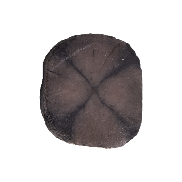 Chiastolite Slice