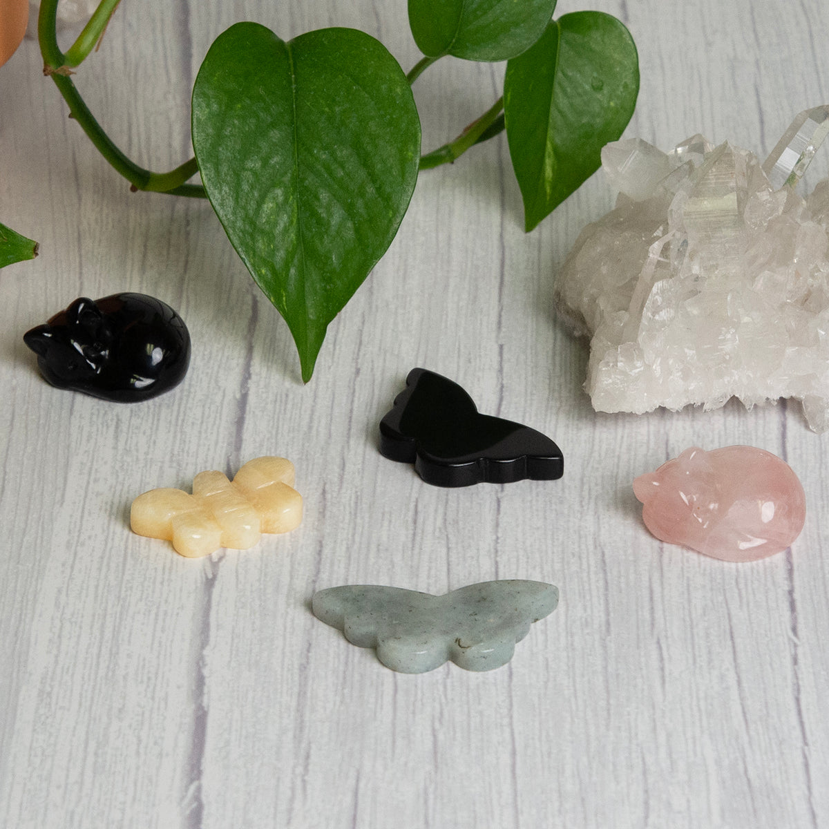 Crystal cats, butterflies and bees at home by Energy Muse