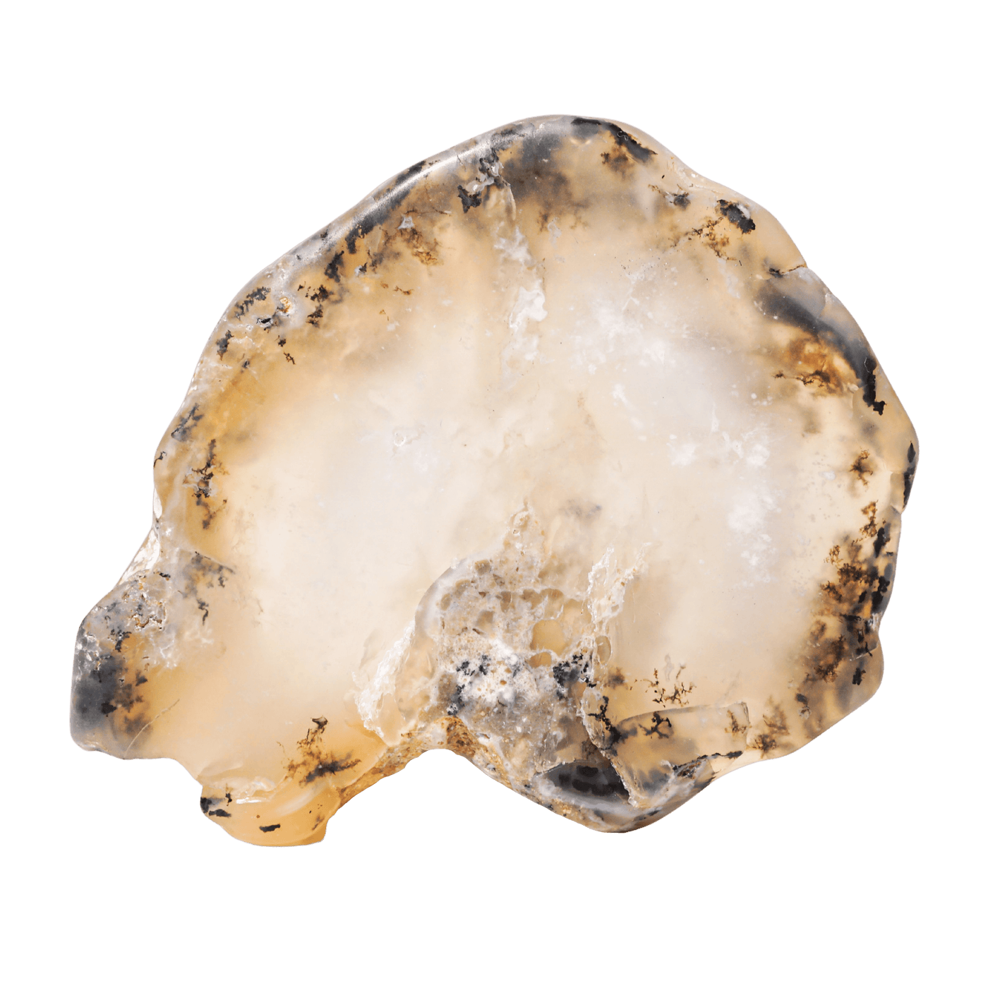 Dendritic Opal Slab