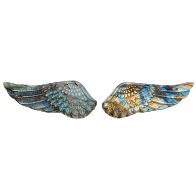 Labradorite Angel Wings Set