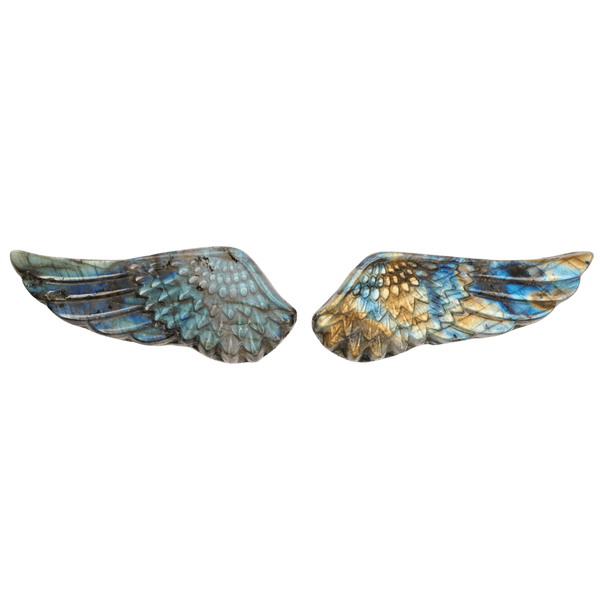 labradoritewings-