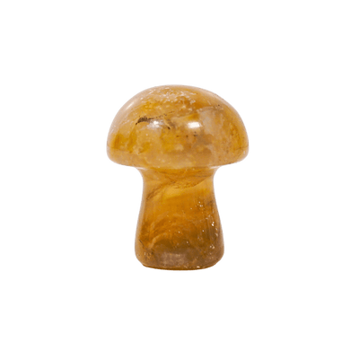 Moss Agate Crystal Mushroom