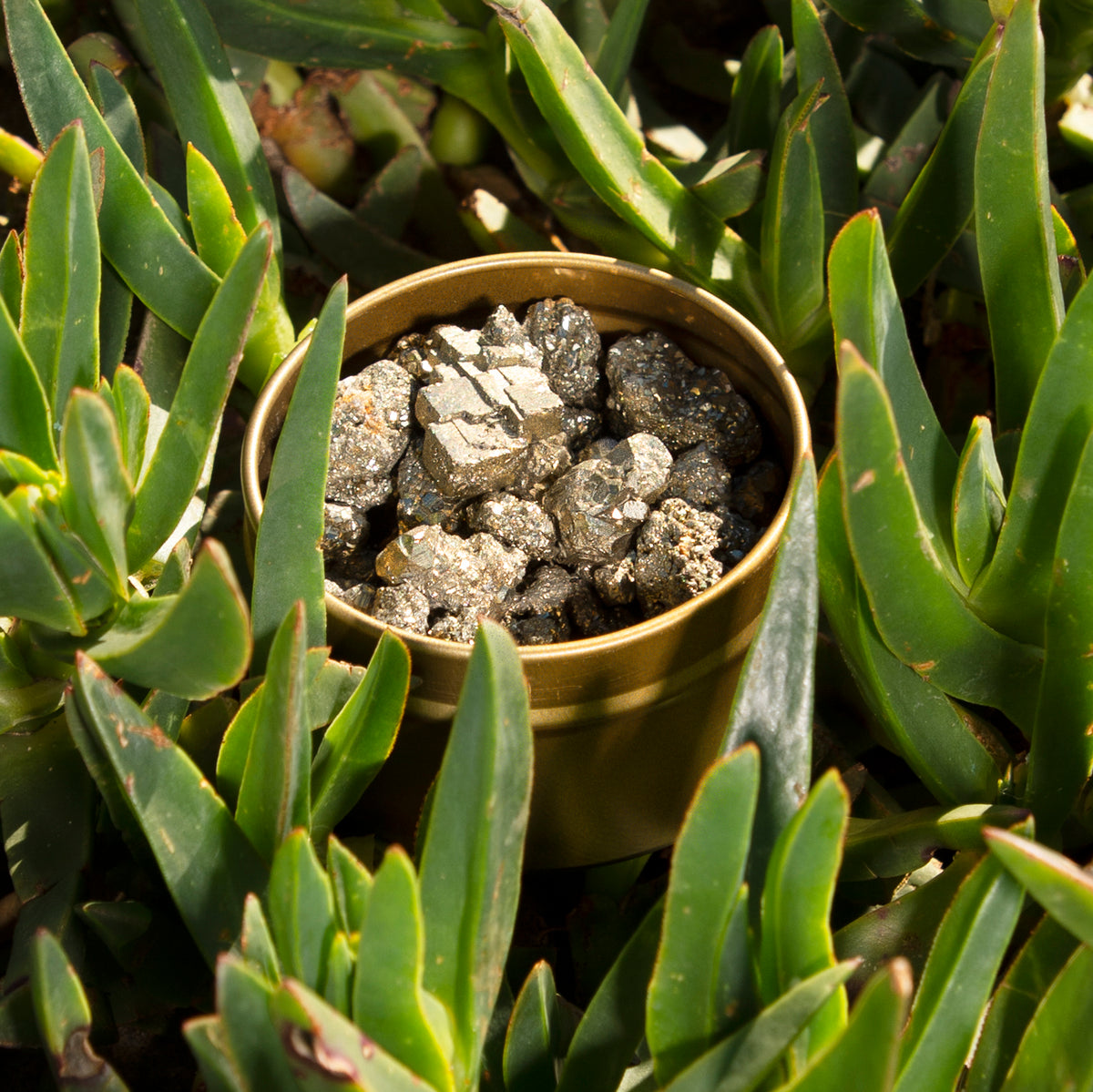 Pyrite Pot of Gold