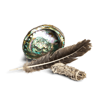 Abalone, Definition & Facts